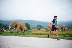 BIB: 
                            <button type="button" onclick="openModal(22400849)" class="btn btn-primary btn-sm float-right btn-popup" data-toggle="modal" data-target=".modal-high-quality">
                        <i class="fas fa-shopping-cart"></i> Add to Cart
                    </button>
                                            <button type="button" onclick="isThisMe(22400849, true)" class="btn btn-success btn-sm float-right btn-popup btn-isme hidden" data-toggle="tooltip" data-placement="bottom" title="นี่คือรูปของคุณใช่ไหม คลิกที่นี่เพื่อเอาเข้าอัลบั้ม">
                        <i class="fas fa-plus"></i> Add to album
                    </button>
                    <button type="button" onclick="isThisMe(22400849, false)" class="btn btn-warning btn-sm float-right btn-popup btn-isnotme hidden">
                        <i class="fas fa-ban"></i> Remove from album
                    </button>